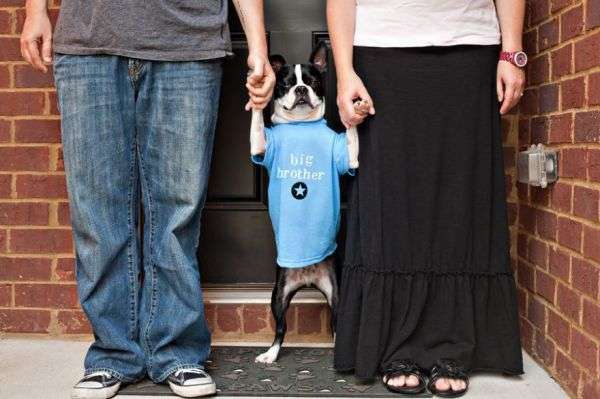 funny ways to announce your pregnancy