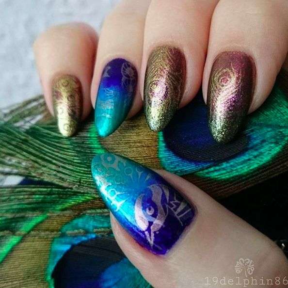 Peacock Nail Designs