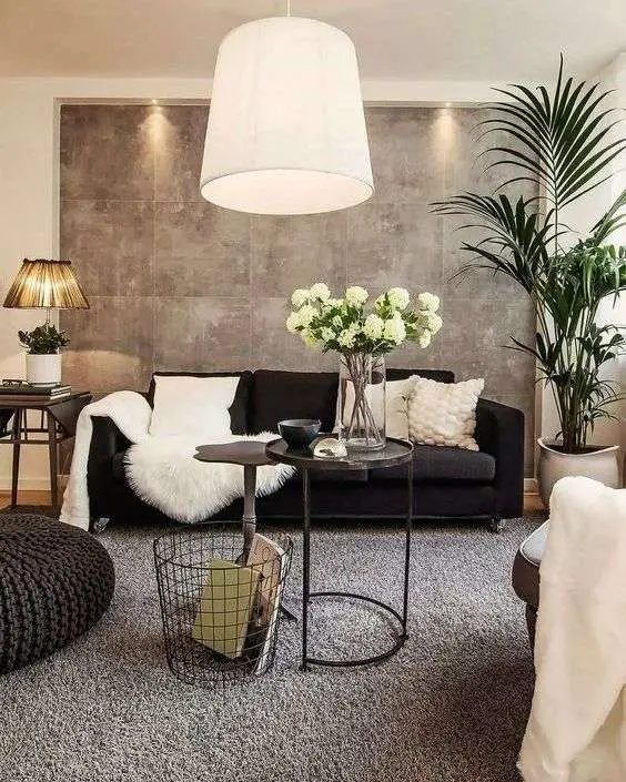 Living Room Grey Carpets