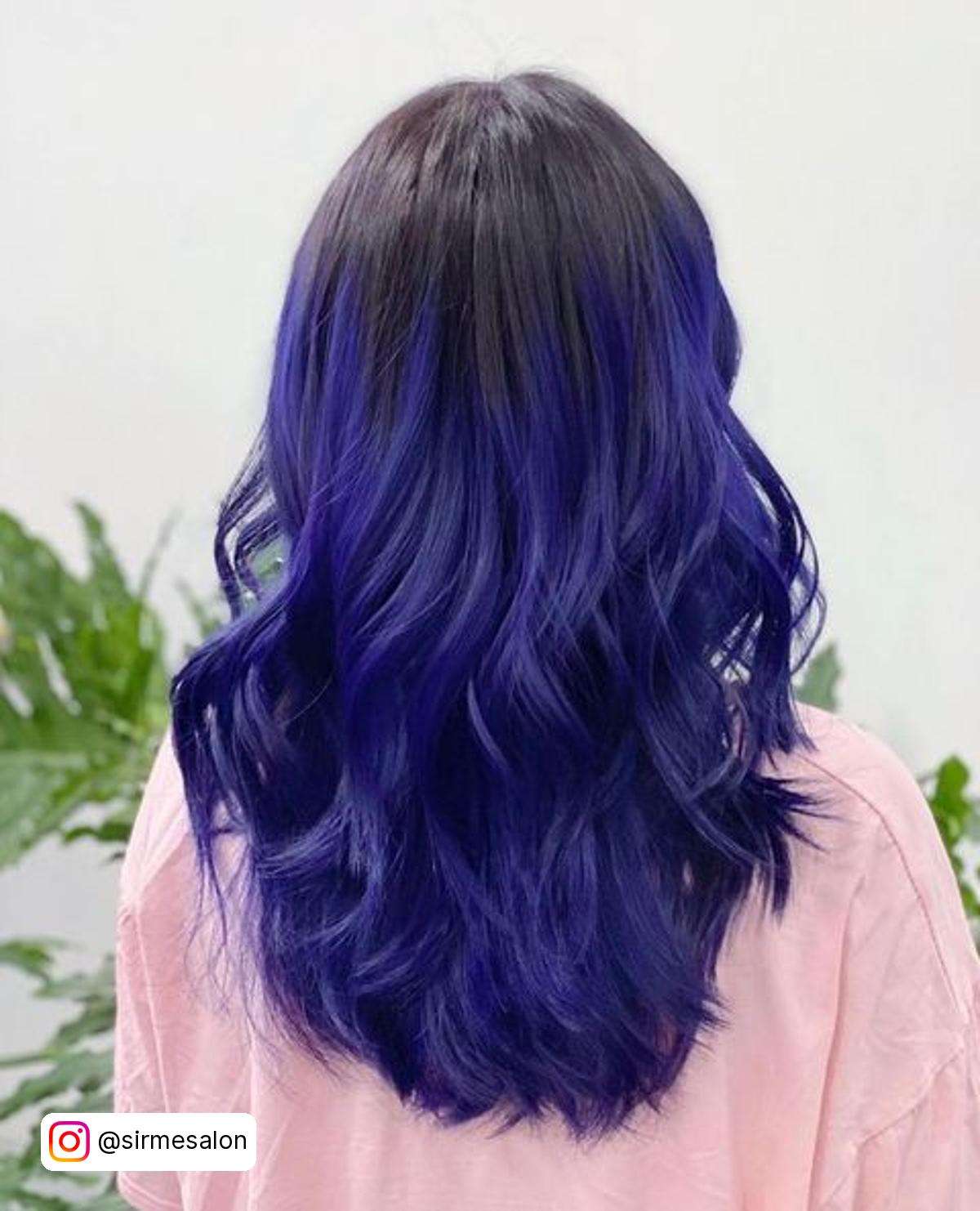 Purple Black Hair Dye