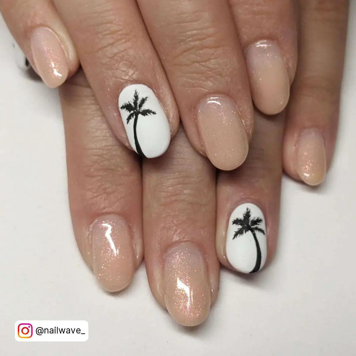 Nails Palm Tree