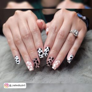 Chic Black And White Cow Print Naiils Over Grey Fur