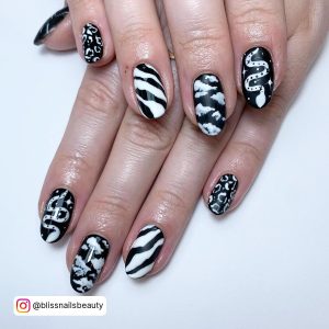 Short Black Nails With Mixed Black And With Nails Design - Stripes, Cow Prints, Clouds, And Snake Art On A White Surface