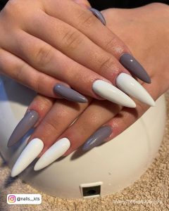 White And Gray Nail Designs In Stilleto Shape