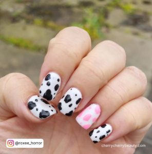 Black And Pink Cow Print Nails For Short Length