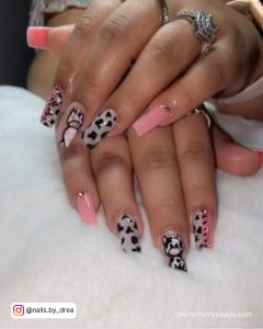 Pink And Cow Print Nails With Cow Drawn On Two Nails