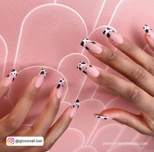 Pink And White Cow Print Nails In French Tip Design