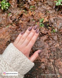 Short Brown Simple Winter Acrylic Nails