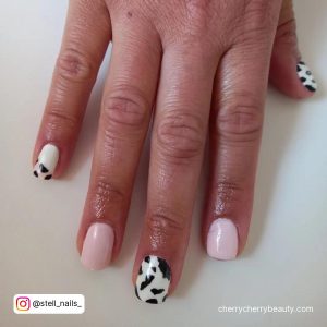 Short Pink Cow Print Nails With Black And White Combination